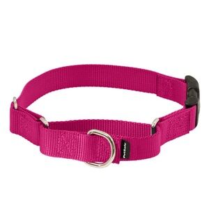 PetSafe Quick Snap Buckle Nylon Martingale Dog Collar pink raspberry size small